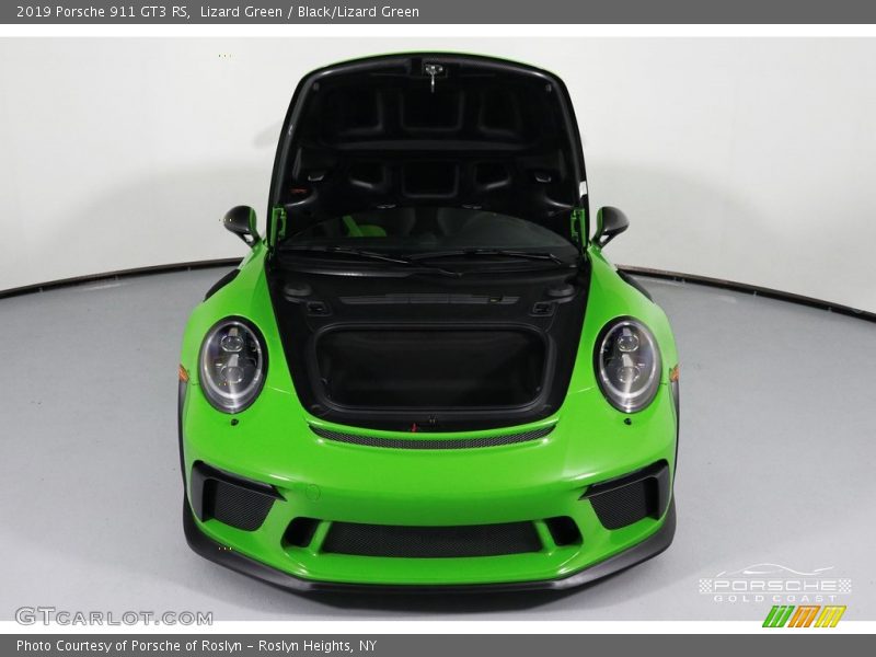 Lizard Green / Black/Lizard Green 2019 Porsche 911 GT3 RS