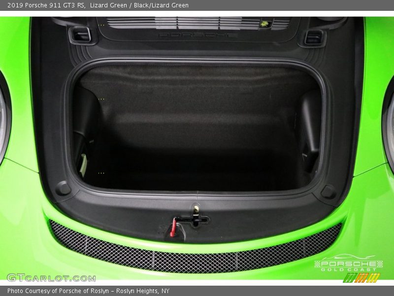 Lizard Green / Black/Lizard Green 2019 Porsche 911 GT3 RS