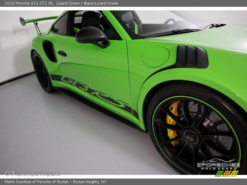 Lizard Green / Black/Lizard Green 2019 Porsche 911 GT3 RS