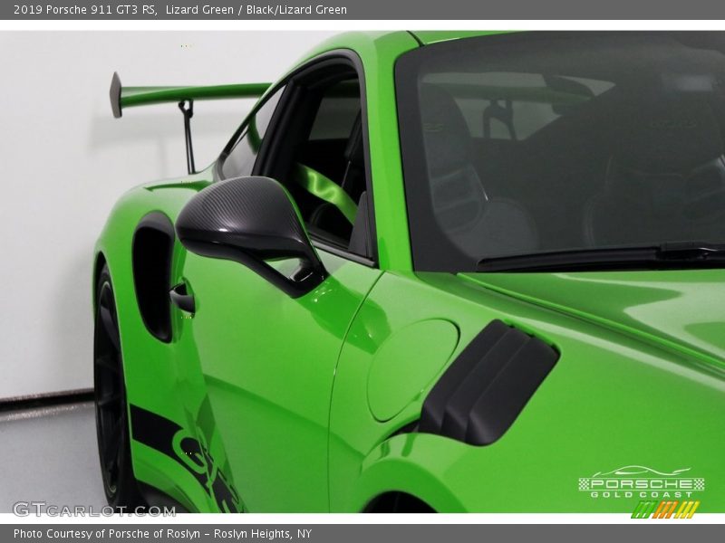 Lizard Green / Black/Lizard Green 2019 Porsche 911 GT3 RS