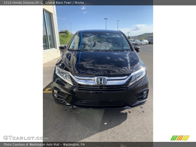 Crystal Black Pearl / Mocha 2019 Honda Odyssey EX-L