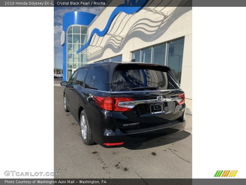 Crystal Black Pearl / Mocha 2019 Honda Odyssey EX-L