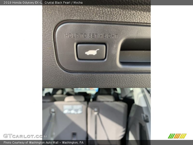 Crystal Black Pearl / Mocha 2019 Honda Odyssey EX-L
