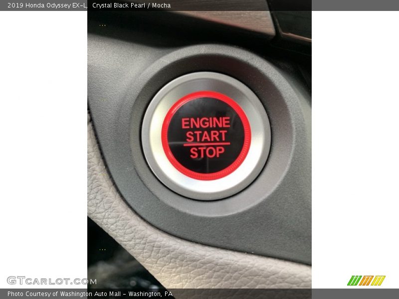 Crystal Black Pearl / Mocha 2019 Honda Odyssey EX-L
