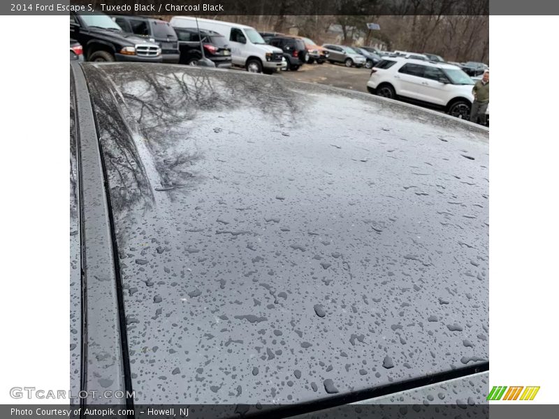Tuxedo Black / Charcoal Black 2014 Ford Escape S