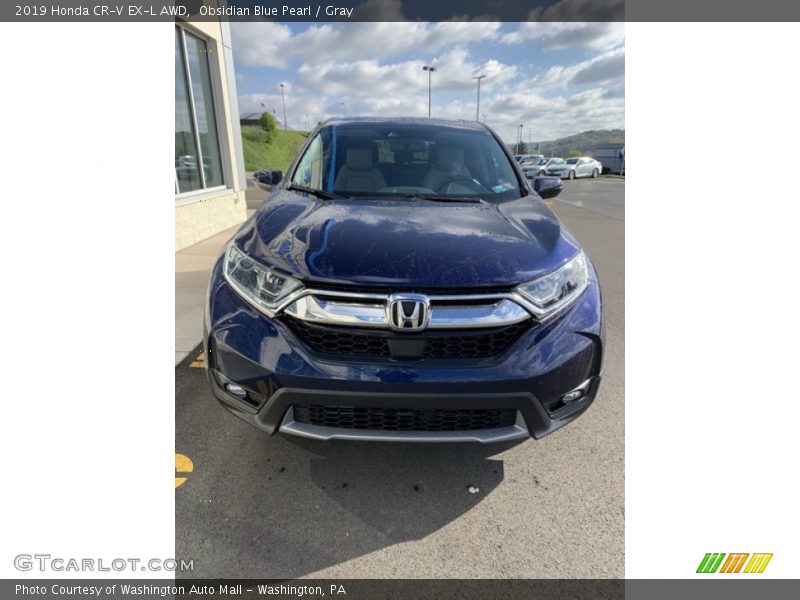 Obsidian Blue Pearl / Gray 2019 Honda CR-V EX-L AWD