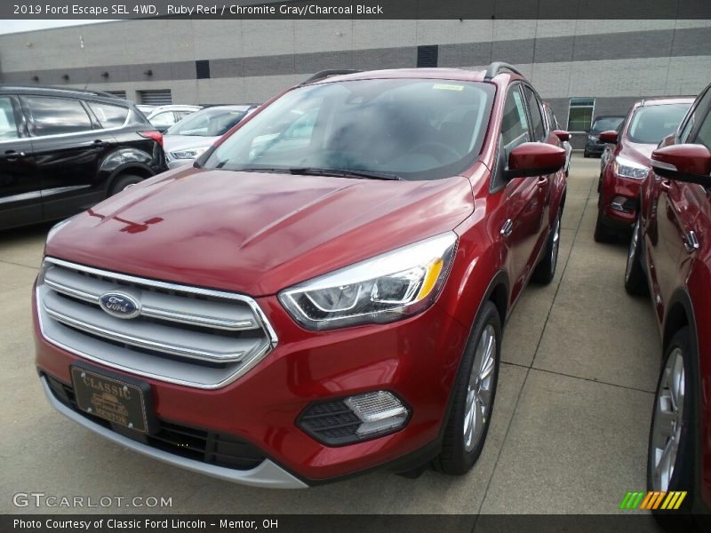 Ruby Red / Chromite Gray/Charcoal Black 2019 Ford Escape SEL 4WD