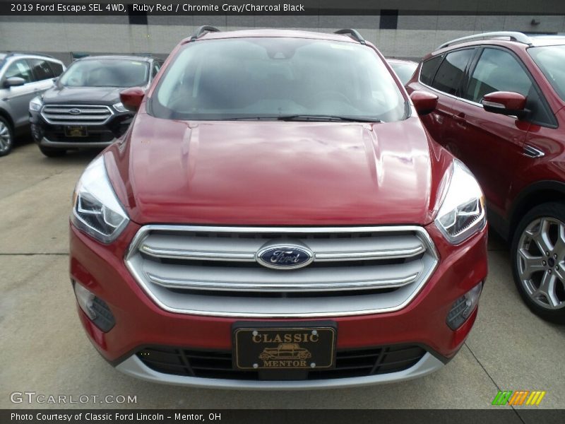 Ruby Red / Chromite Gray/Charcoal Black 2019 Ford Escape SEL 4WD