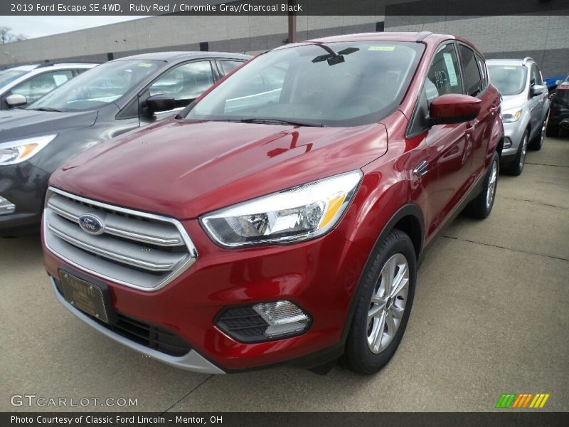 Ruby Red / Chromite Gray/Charcoal Black 2019 Ford Escape SE 4WD