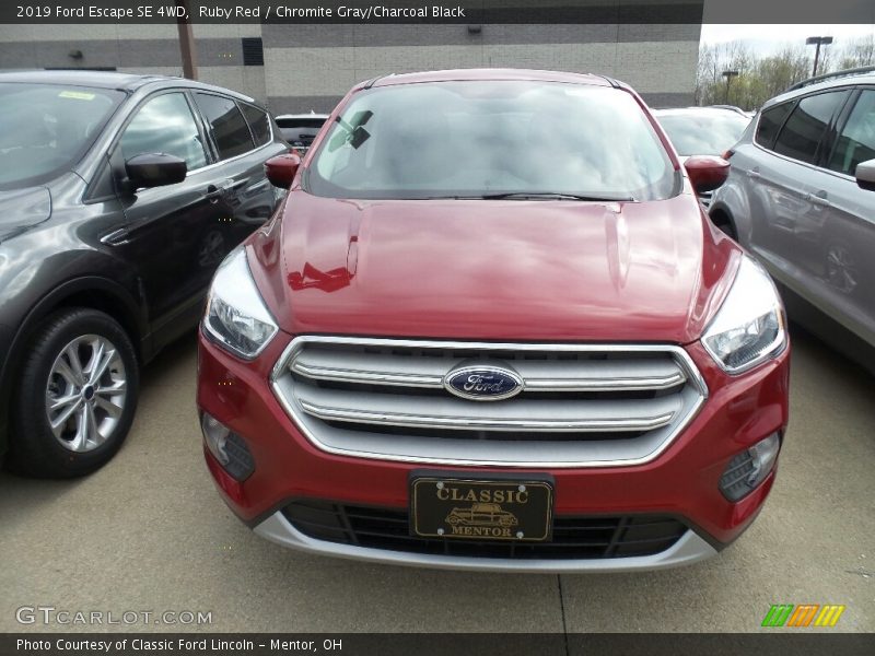 Ruby Red / Chromite Gray/Charcoal Black 2019 Ford Escape SE 4WD