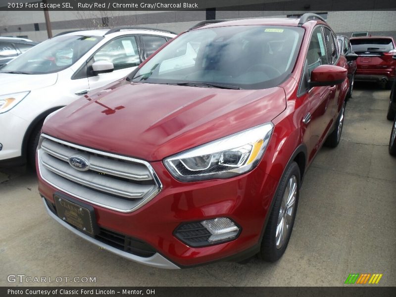 Ruby Red / Chromite Gray/Charcoal Black 2019 Ford Escape SEL
