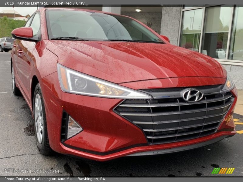 Scarlet Red / Gray 2019 Hyundai Elantra SE