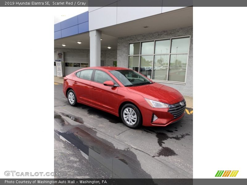 Scarlet Red / Gray 2019 Hyundai Elantra SE