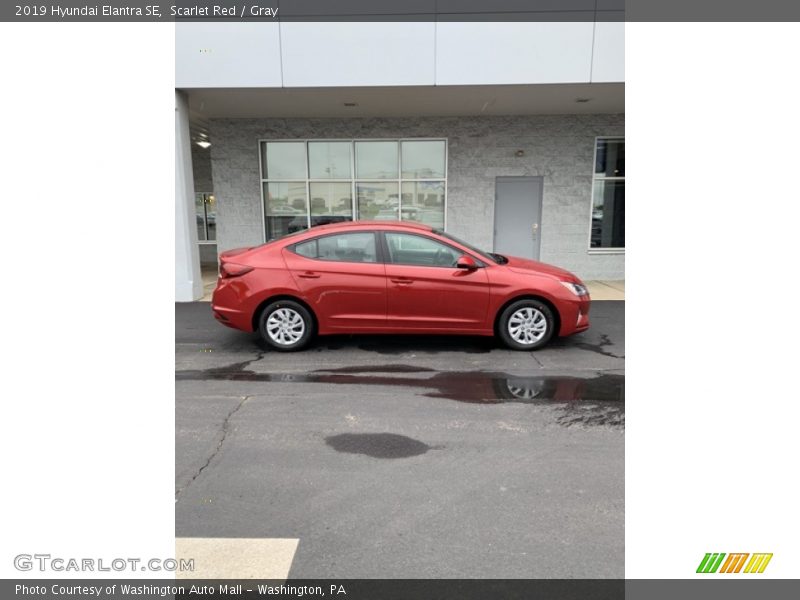 Scarlet Red / Gray 2019 Hyundai Elantra SE