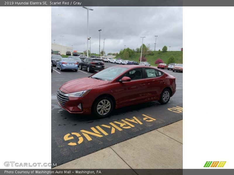Scarlet Red / Gray 2019 Hyundai Elantra SE