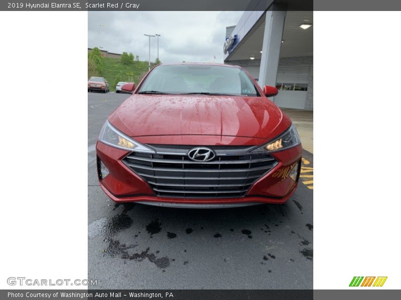 Scarlet Red / Gray 2019 Hyundai Elantra SE