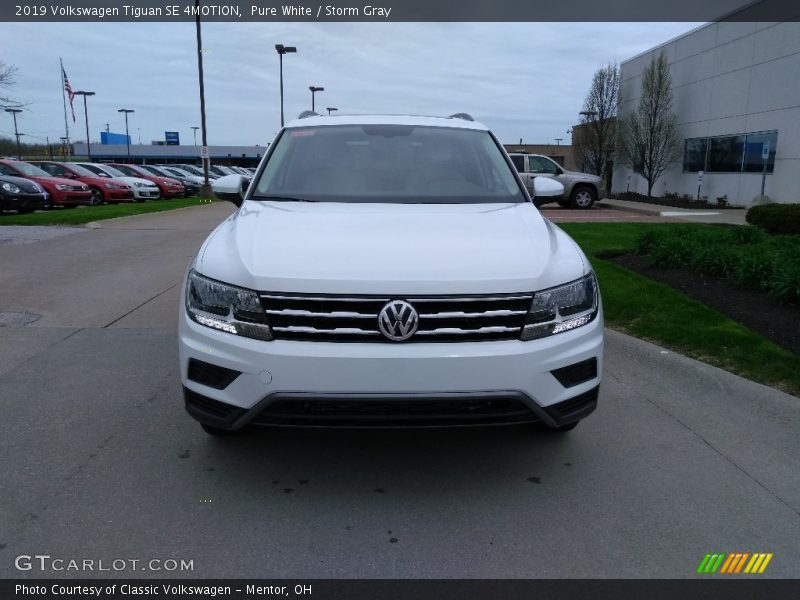 Pure White / Storm Gray 2019 Volkswagen Tiguan SE 4MOTION