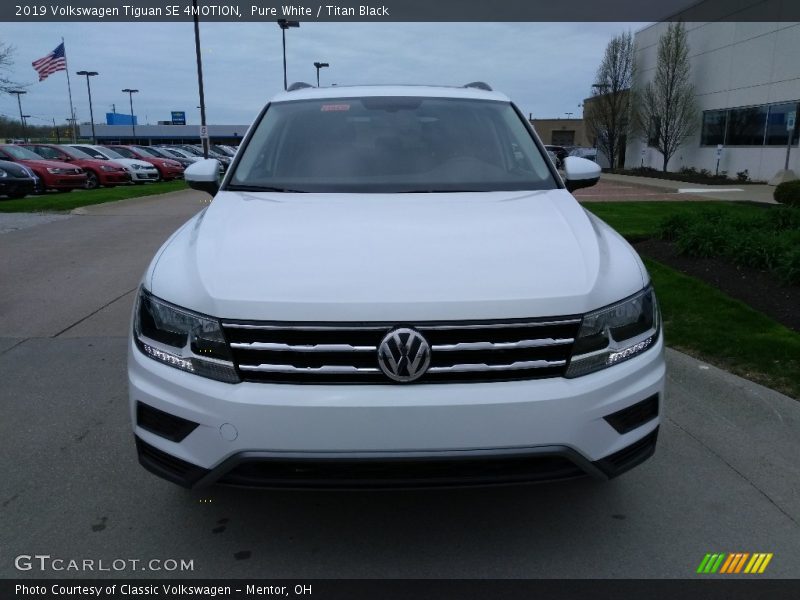Pure White / Titan Black 2019 Volkswagen Tiguan SE 4MOTION