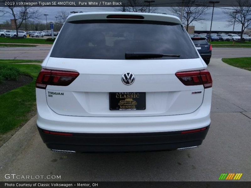 Pure White / Titan Black 2019 Volkswagen Tiguan SE 4MOTION