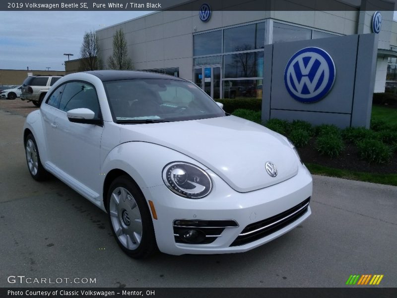 Front 3/4 View of 2019 Beetle SE
