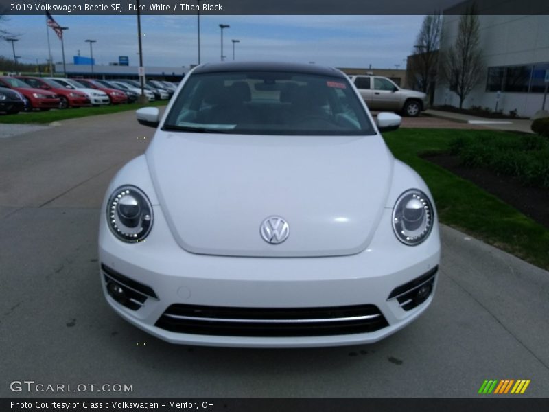 Pure White / Titan Black 2019 Volkswagen Beetle SE