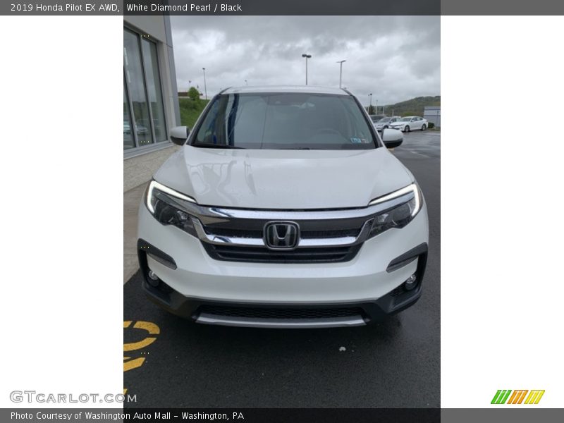 White Diamond Pearl / Black 2019 Honda Pilot EX AWD