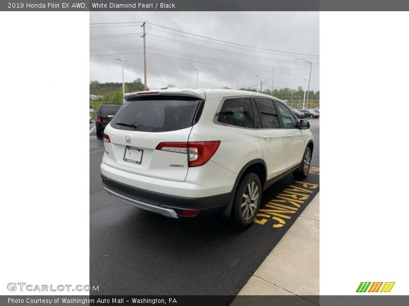 White Diamond Pearl / Black 2019 Honda Pilot EX AWD