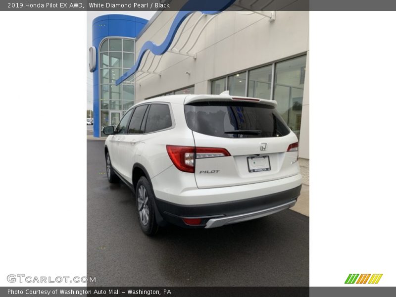 White Diamond Pearl / Black 2019 Honda Pilot EX AWD
