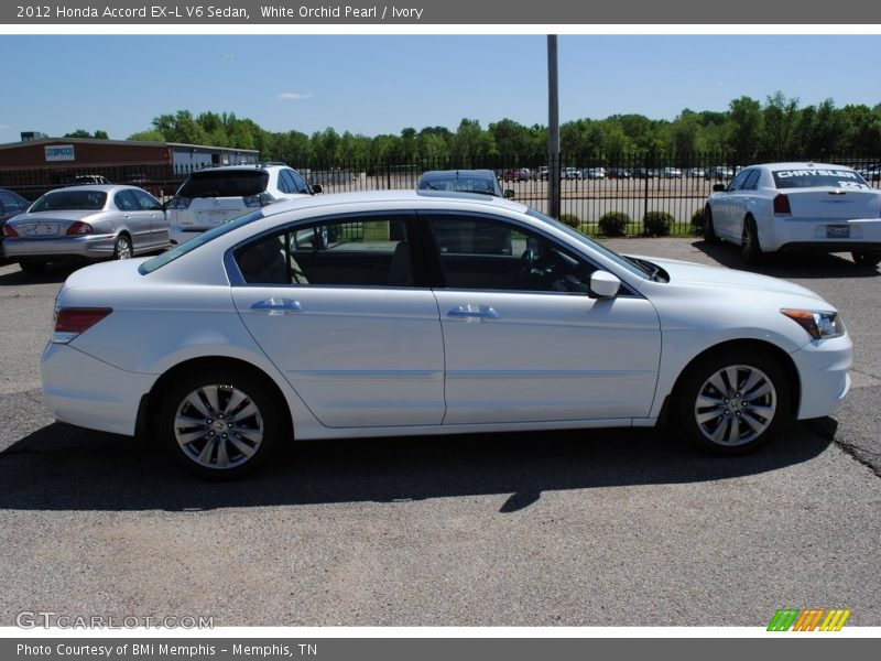 White Orchid Pearl / Ivory 2012 Honda Accord EX-L V6 Sedan