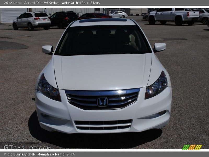 White Orchid Pearl / Ivory 2012 Honda Accord EX-L V6 Sedan