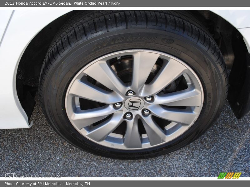 White Orchid Pearl / Ivory 2012 Honda Accord EX-L V6 Sedan