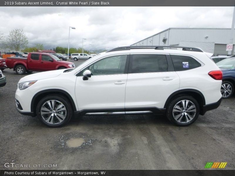 Crystal White Pearl / Slate Black 2019 Subaru Ascent Limited