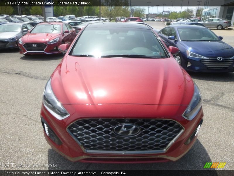 Scarlet Red / Black 2019 Hyundai Sonata Limited