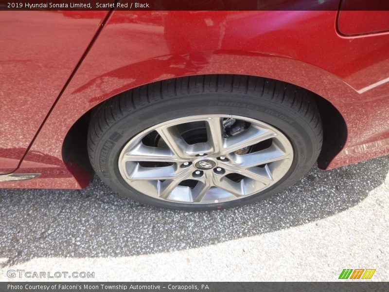 Scarlet Red / Black 2019 Hyundai Sonata Limited