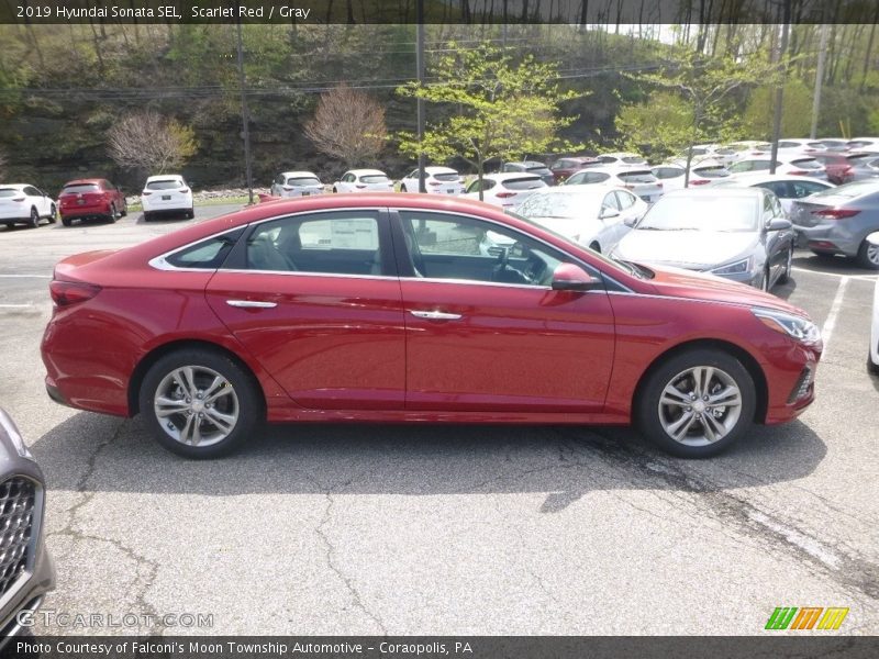 Scarlet Red / Gray 2019 Hyundai Sonata SEL