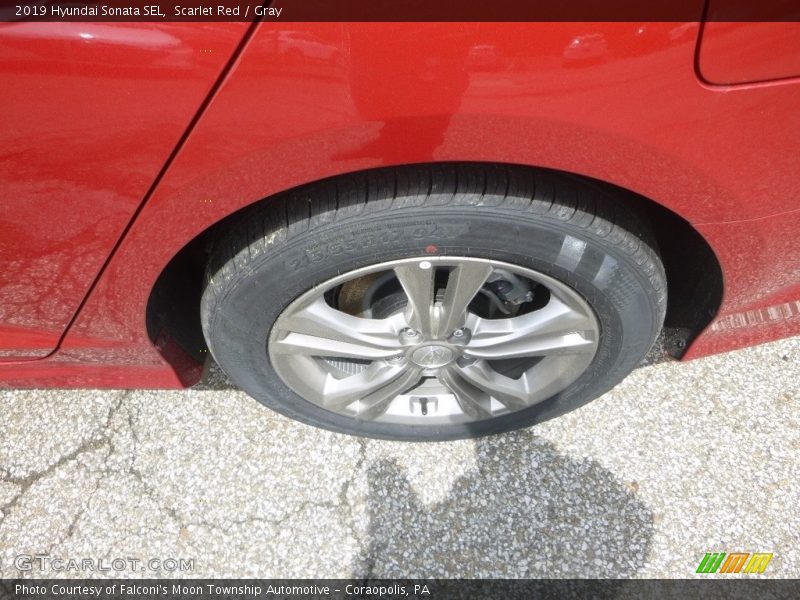 Scarlet Red / Gray 2019 Hyundai Sonata SEL