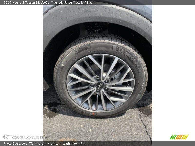 Magnetic Force Metallic / Black 2019 Hyundai Tucson SEL AWD