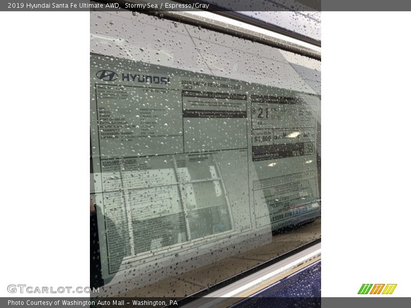 Stormy Sea / Espresso/Gray 2019 Hyundai Santa Fe Ultimate AWD