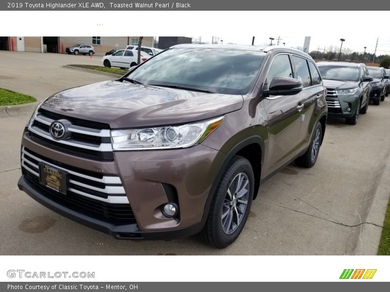 Toasted Walnut Pearl / Black 2019 Toyota Highlander XLE AWD
