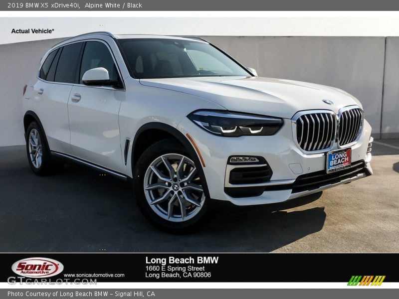 Alpine White / Black 2019 BMW X5 xDrive40i