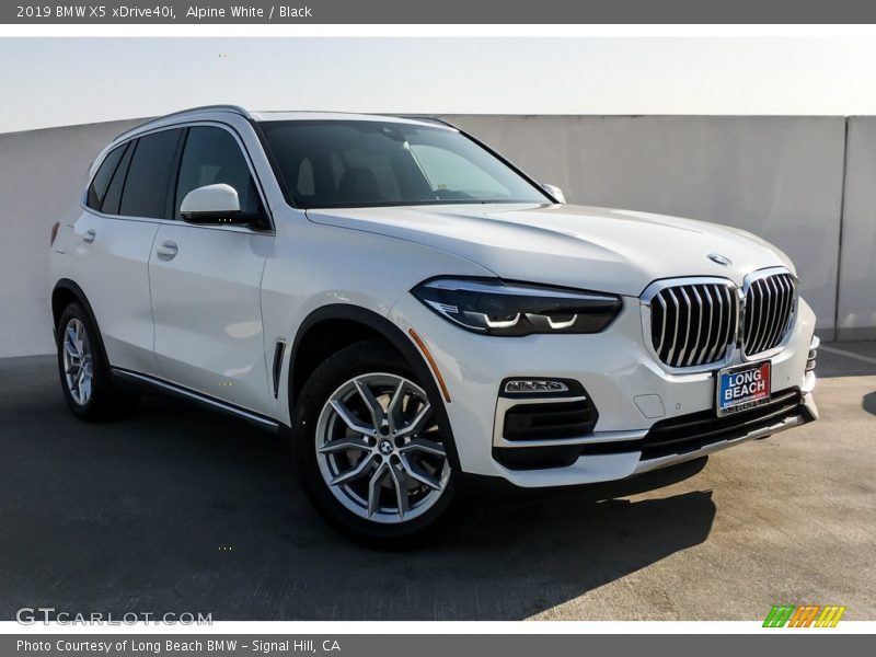 Alpine White / Black 2019 BMW X5 xDrive40i