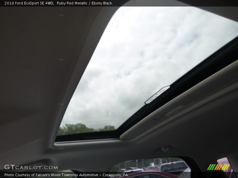 Ruby Red Metallic / Ebony Black 2019 Ford EcoSport SE 4WD