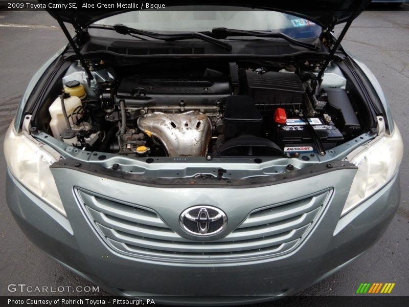 Aloe Green Metallic / Bisque 2009 Toyota Camry SE
