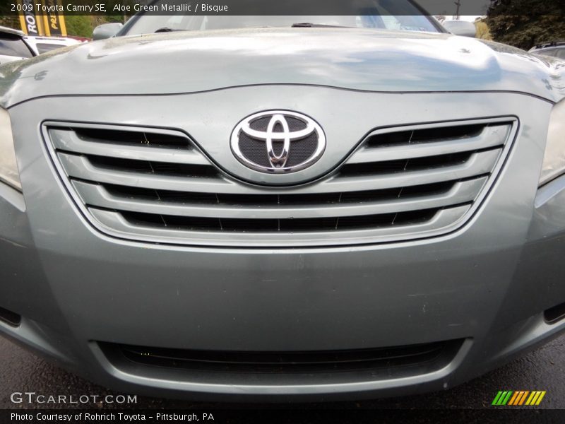 Aloe Green Metallic / Bisque 2009 Toyota Camry SE