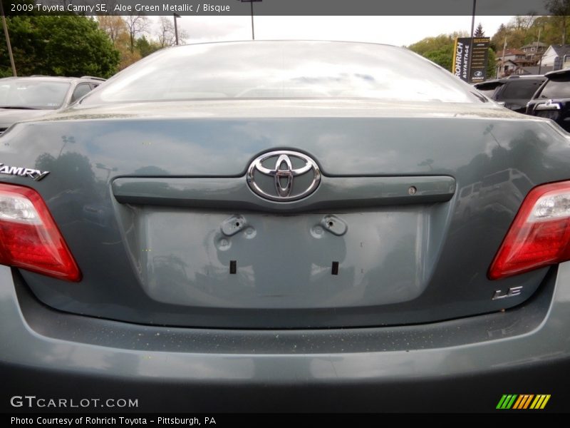 Aloe Green Metallic / Bisque 2009 Toyota Camry SE