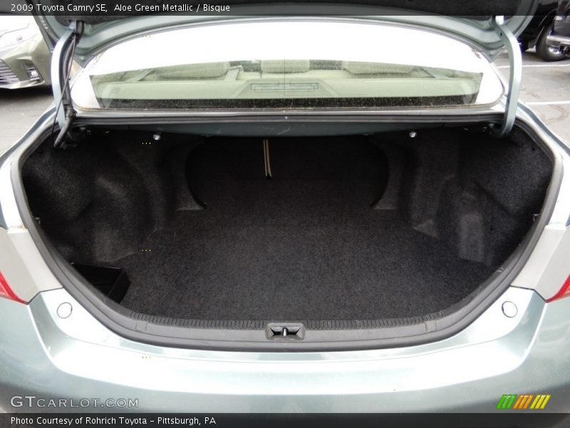 Aloe Green Metallic / Bisque 2009 Toyota Camry SE