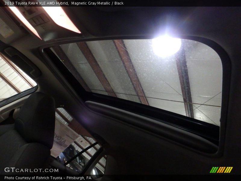 Magnetic Gray Metallic / Black 2019 Toyota RAV4 XLE AWD Hybrid