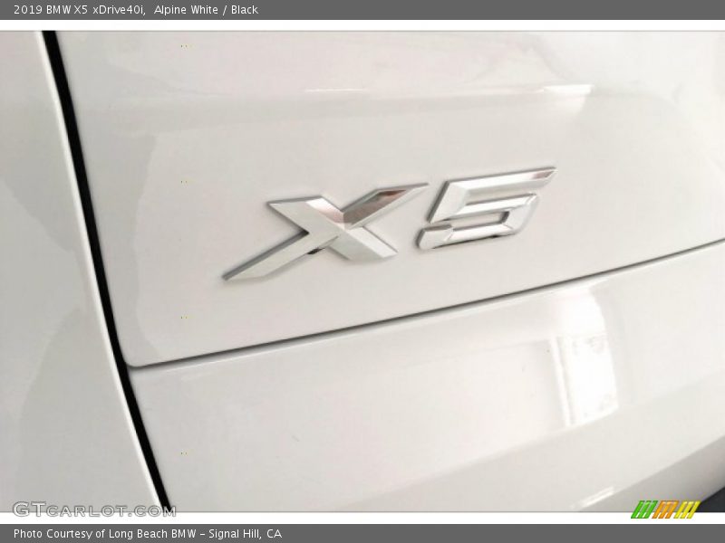 Alpine White / Black 2019 BMW X5 xDrive40i