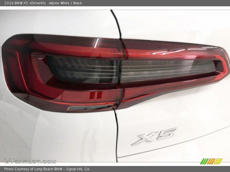 Alpine White / Black 2019 BMW X5 xDrive40i