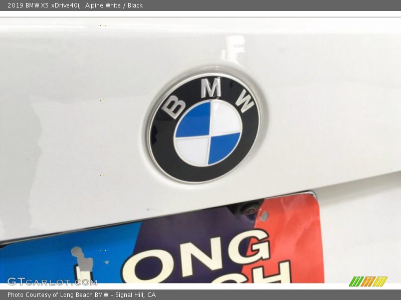 Alpine White / Black 2019 BMW X5 xDrive40i